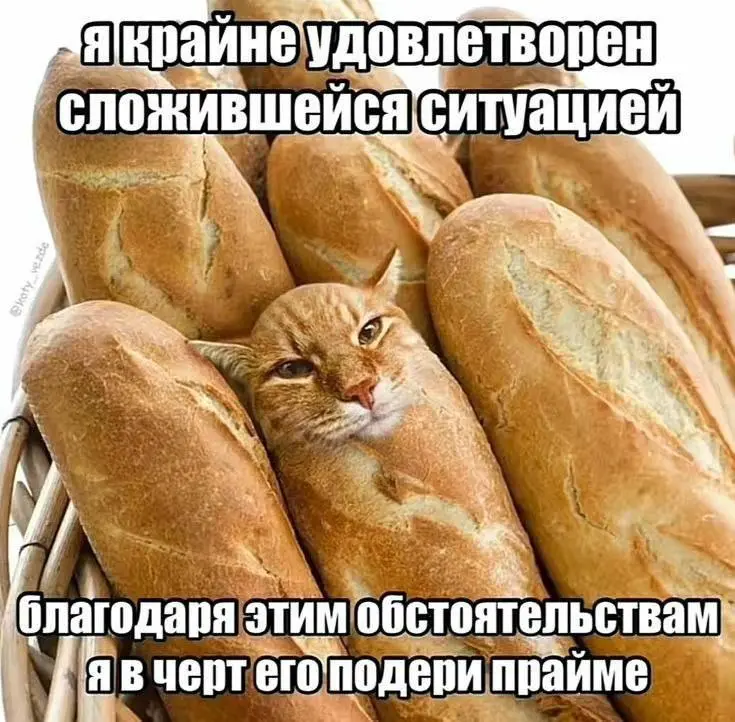 Прайм-эра: когда наступает и как её достичь прайм, прайм-эра, зумеры, психология, мемы, саморазвитие, главный герой