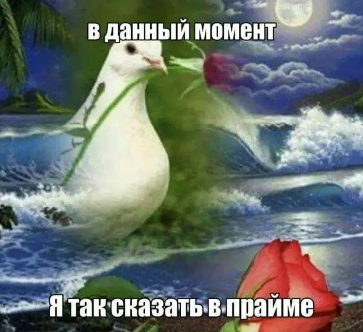 Прайм-эра: когда наступает и как её достичь прайм, прайм-эра, зумеры, психология, мемы, саморазвитие, главный герой