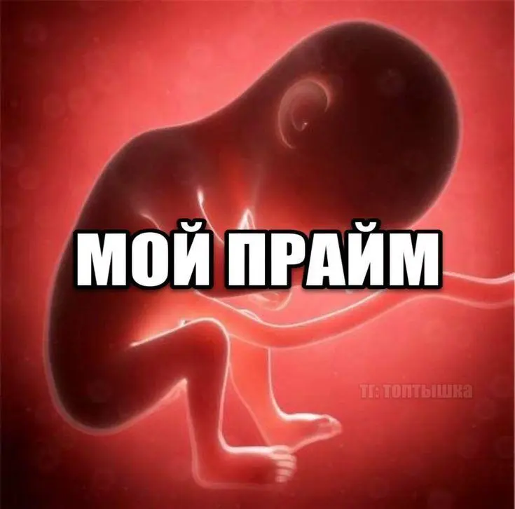 Прайм-эра: когда наступает и как её достичь прайм, прайм-эра, зумеры, психология, мемы, саморазвитие, главный герой