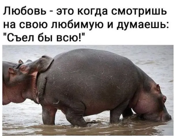 Маленькая пятница: подборка мемов, которые спасут твою середину недели маленькая пятница, мемы, шутки, приколы, юмор, настроение, позитив, среда