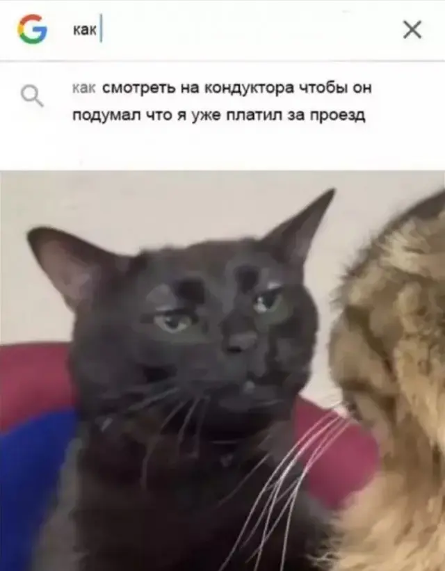 Маленькая пятница: подборка мемов, которые спасут твою середину недели маленькая пятница, мемы, шутки, приколы, юмор, настроение, позитив, среда