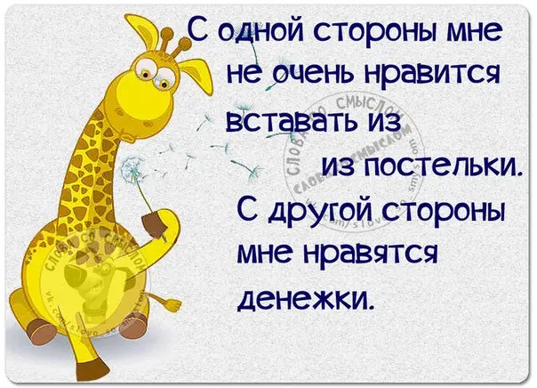 Эпичные провалы поисков: как мы ищем то, что лежит на виду приколы, картинки, мемы, поиск вещей, бытовой юмор, смешные картинки