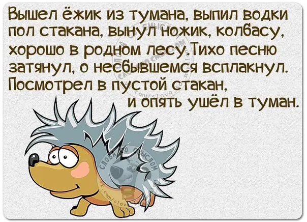 Эпичные провалы поисков: как мы ищем то, что лежит на виду приколы, картинки, мемы, поиск вещей, бытовой юмор, смешные картинки