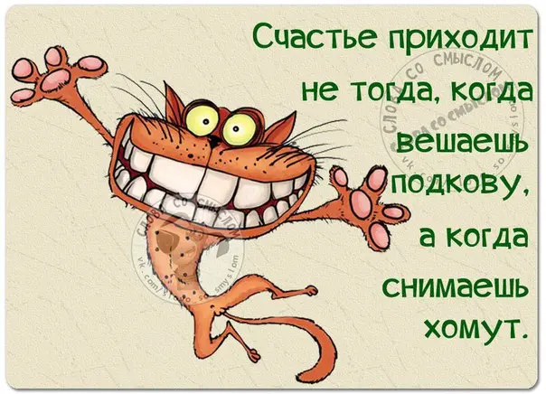 Эпичные провалы поисков: как мы ищем то, что лежит на виду приколы, картинки, мемы, поиск вещей, бытовой юмор, смешные картинки