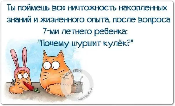 Эпичные провалы поисков: как мы ищем то, что лежит на виду приколы, картинки, мемы, поиск вещей, бытовой юмор, смешные картинки