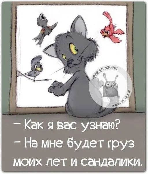 Эпичные провалы поисков: как мы ищем то, что лежит на виду приколы, картинки, мемы, поиск вещей, бытовой юмор, смешные картинки