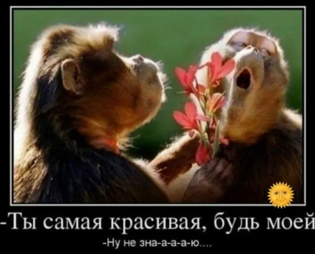 Секрет счастливой семьи глазами мужчины