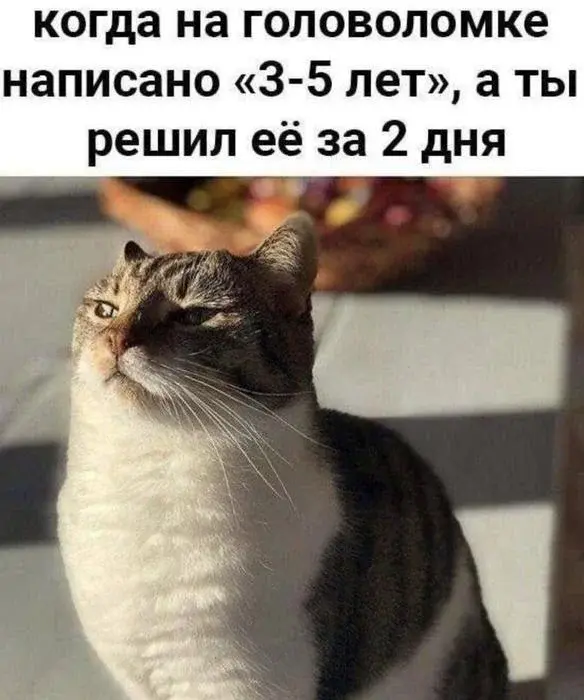 «Самодисциплина» по-взрослому: поставил будильник на 6 утра, а проснулся в 7:30 мемы, юмор, приколы, взрослая жизнь, самодисциплина, будильник, утро