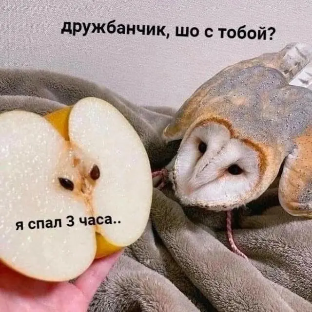 «Самодисциплина» по-взрослому: поставил будильник на 6 утра, а проснулся в 7:30 мемы, юмор, приколы, взрослая жизнь, самодисциплина, будильник, утро