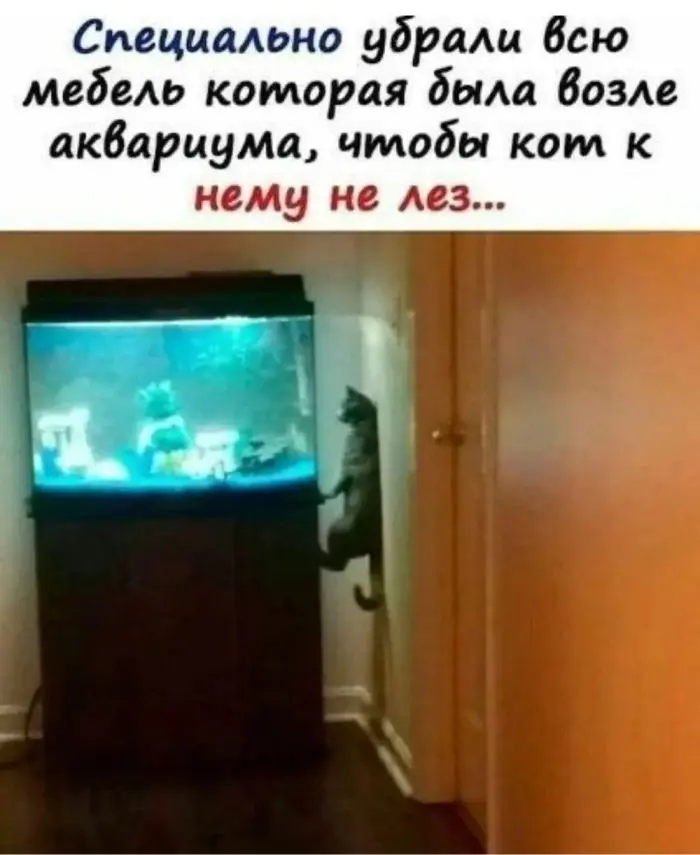 Ура, пятница! Отличная порция юмора и смешные мемы пятница, юмор, мемы, приколы