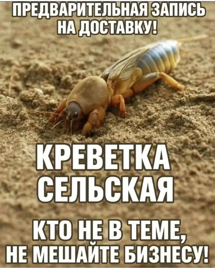 Ура, пятница! Отличная порция юмора и смешные мемы пятница, юмор, мемы, приколы