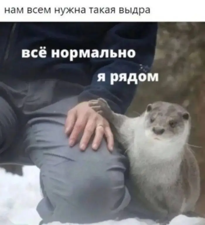 Ура, пятница! Отличная порция юмора и смешные мемы пятница, юмор, мемы, приколы