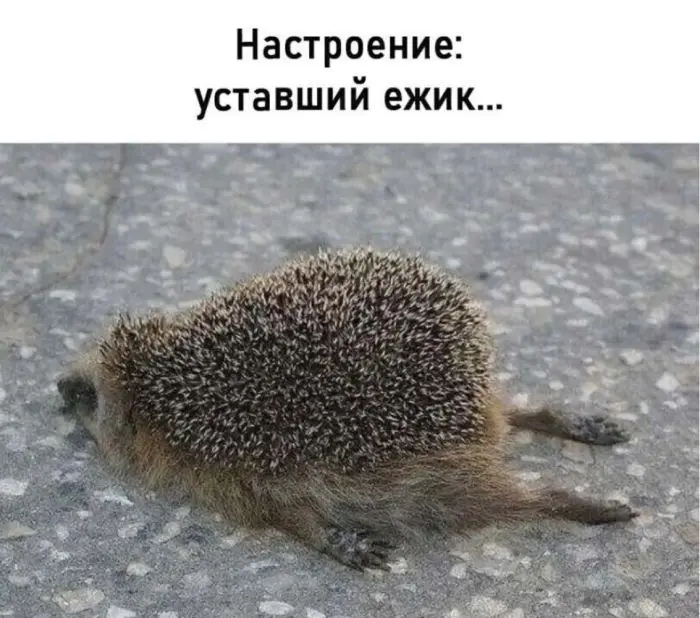 Ура, пятница! Отличная порция юмора и смешные мемы пятница, юмор, мемы, приколы