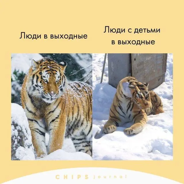 Уморительные мемы с пушистиками: порция добра и смеха Уморительные мемы с пушистиками: порция добра и смеха мемы, животные, приколы, подборка, смешные картинки, котики, собаки, позитив