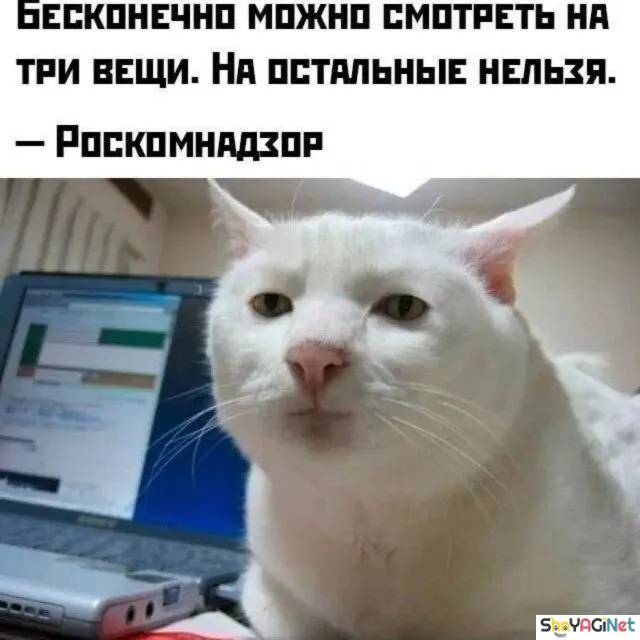 Майские приколы. Самый сок! приколы, май, мемы, картинки, смех, интернет, подборка, юмор
