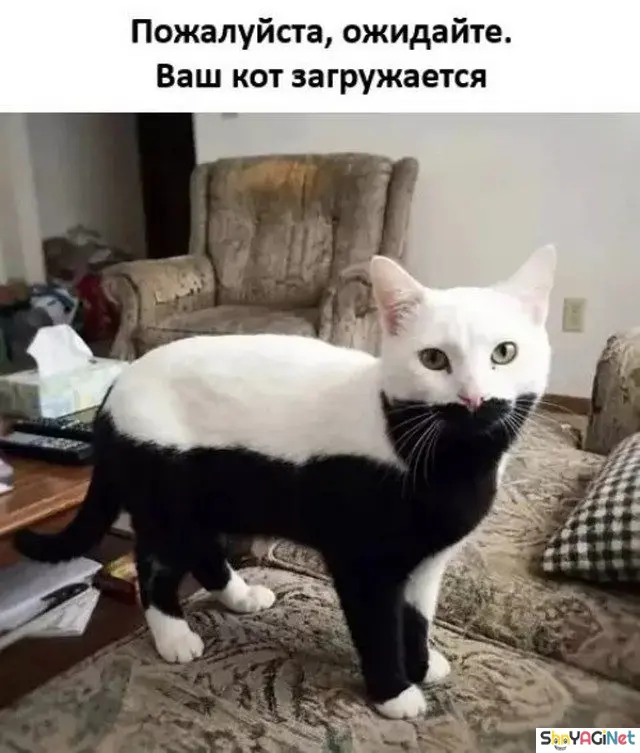 Майские приколы. Самый сок! приколы, май, мемы, картинки, смех, интернет, подборка, юмор
