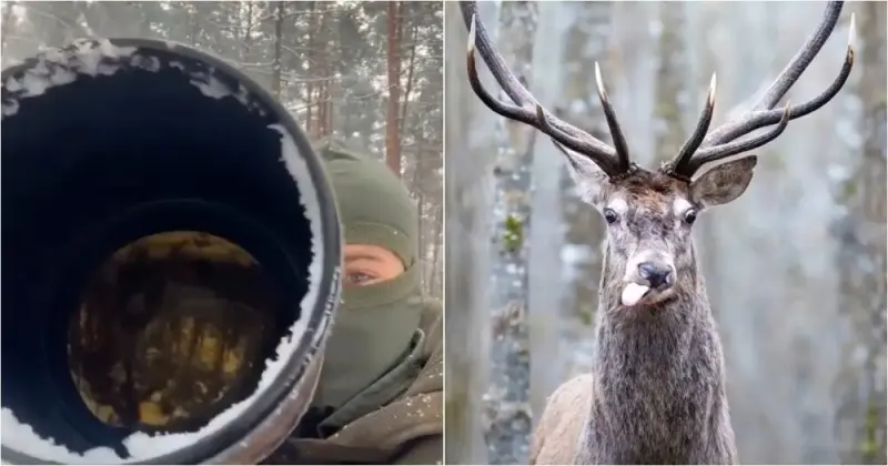 Когда дикие животные рушат все планы фотографа