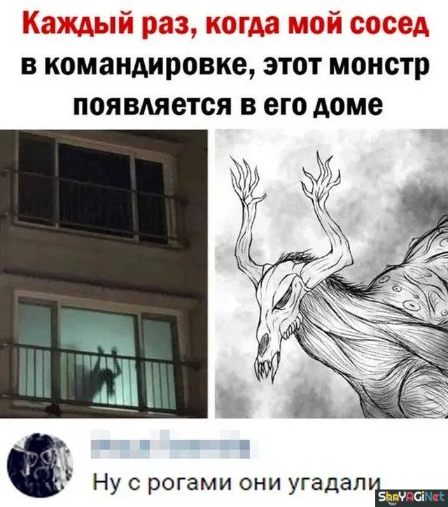 Свежие комментарии из соцсетей: порция отличного настроения комментарии, соцсети, приколы, смешное, подборка, скриншоты, юмор