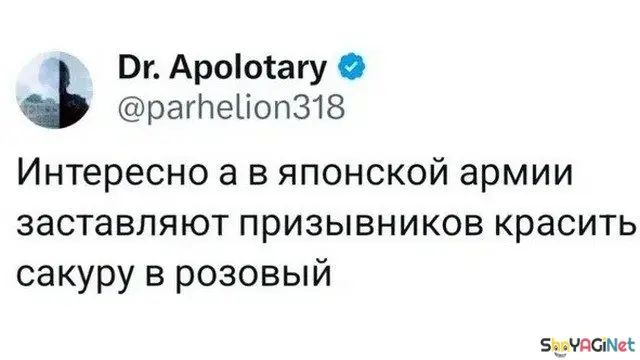Свежие комментарии из соцсетей: порция отличного настроения комментарии, соцсети, приколы, смешное, подборка, скриншоты, юмор