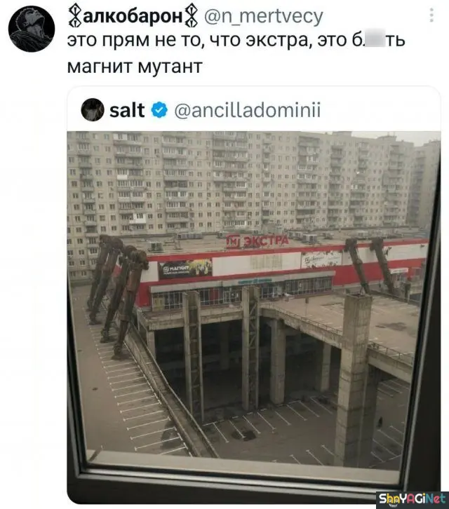 Свежие комментарии из соцсетей: порция отличного настроения комментарии, соцсети, приколы, смешное, подборка, скриншоты, юмор