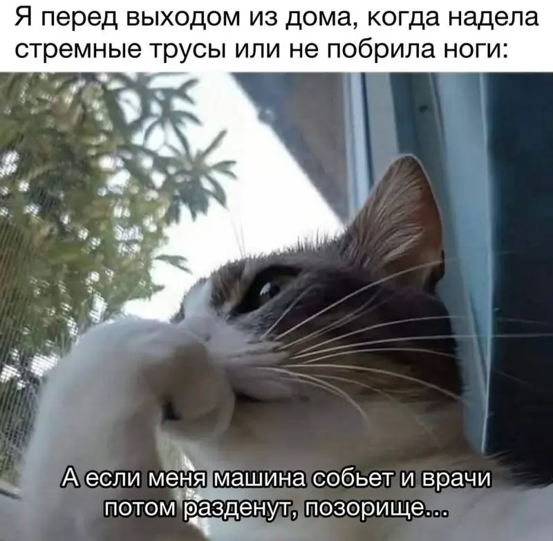 Пение птиц и жизненные мемы: утренняя подборка мемы, картинки, приколы, психология, юмор, подборка