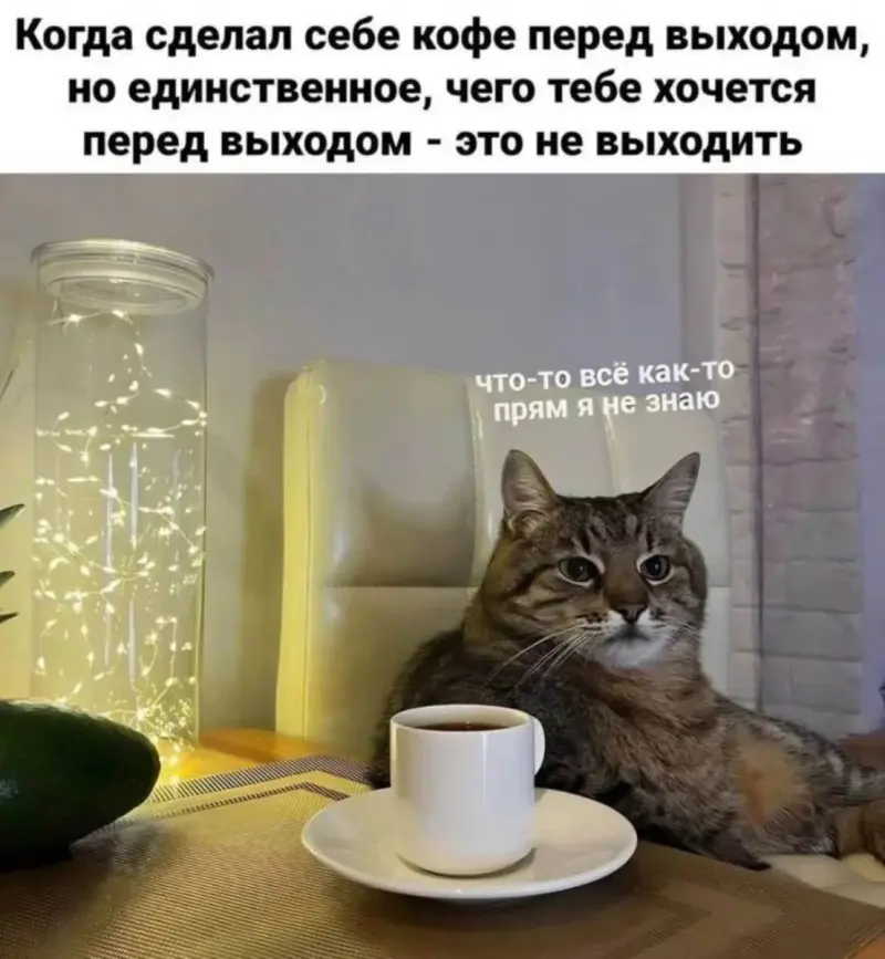Пение птиц и жизненные мемы: утренняя подборка мемы, картинки, приколы, психология, юмор, подборка