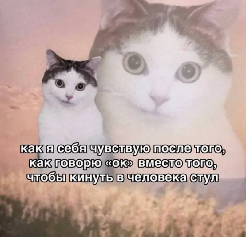 Пение птиц и жизненные мемы: утренняя подборка мемы, картинки, приколы, психология, юмор, подборка