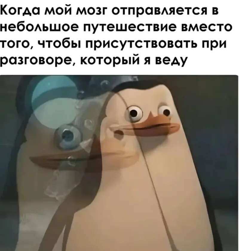 Пение птиц и жизненные мемы: утренняя подборка мемы, картинки, приколы, психология, юмор, подборка