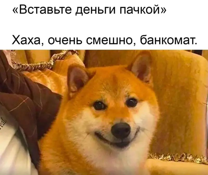 Пение птиц и жизненные мемы: утренняя подборка мемы, картинки, приколы, психология, юмор, подборка