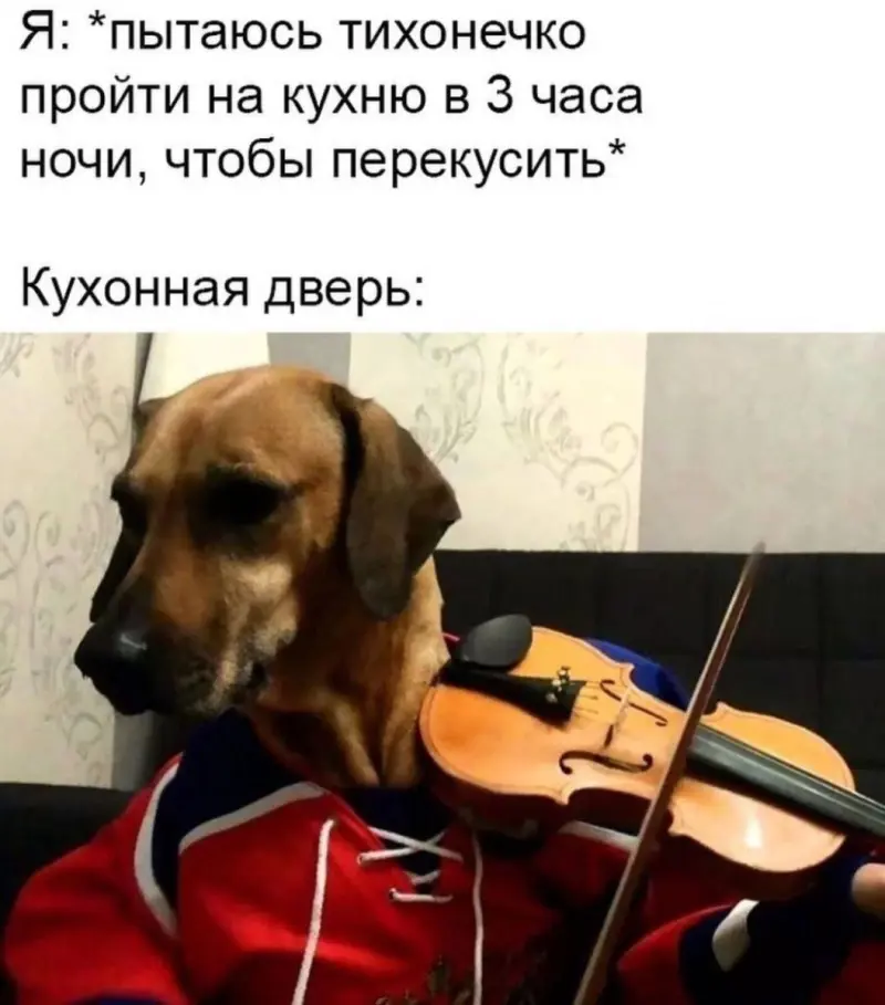 Ржака на выходные: свежая подборка мемов, которая порвет вам пукан! мемы, приколы, юмор, смешные картинки, подборка, настроение, свежие, выходные