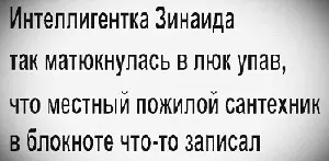 Похищение пьяного русского: инопланетяне сдались и дали порулить стихи, двустишия, bazzlan, приколы, юмор, инопланетяне