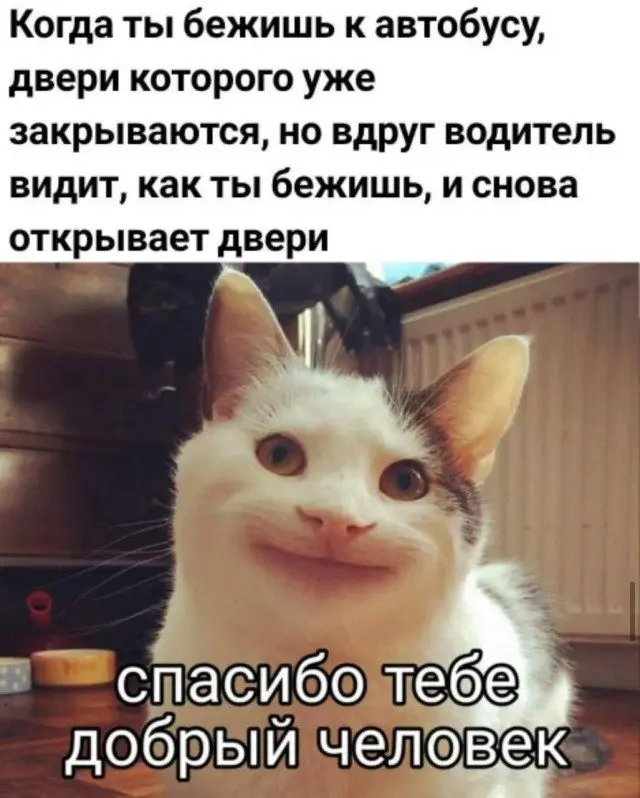 Когда устал так, что уже смешно: подборка мемов мемы, приколы, усталость, смешные фото, юмор, подборка, отдохни, рассмеши