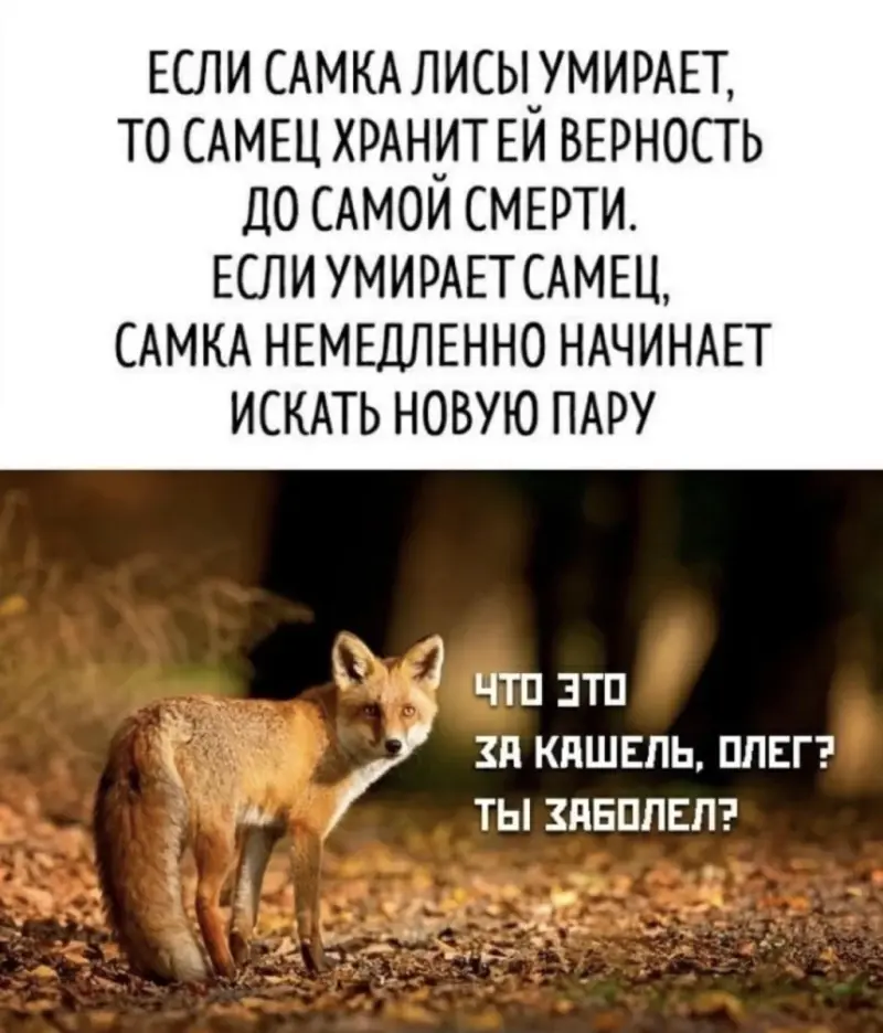 Вечерний юмор: мемы 10 мая с философским оттенком мемы, приколы, интернет, вечер, 10 мая, Кант, философия, юмор, картинки