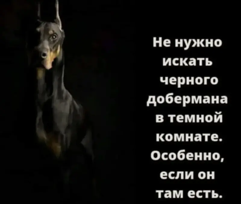 Вечерний юмор: мемы 10 мая с философским оттенком мемы, приколы, интернет, вечер, 10 мая, Кант, философия, юмор, картинки