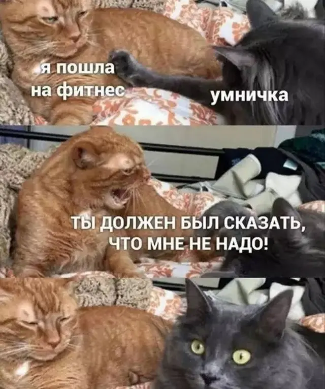 Бодрое утро начинается с улыбки: свежая подборка мемов мемы, приколы, утро, юмор, картинки, настроение, смешное, позитив, подборка