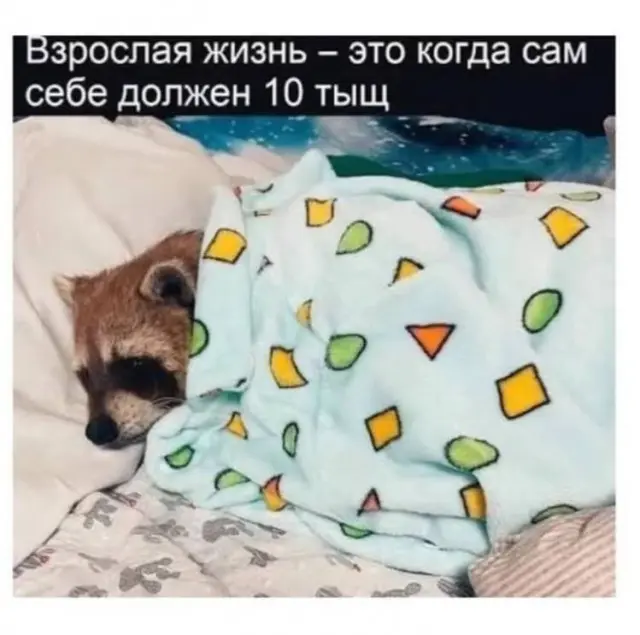 Бодрое утро начинается с улыбки: свежая подборка мемов мемы, приколы, утро, юмор, картинки, настроение, смешное, позитив, подборка