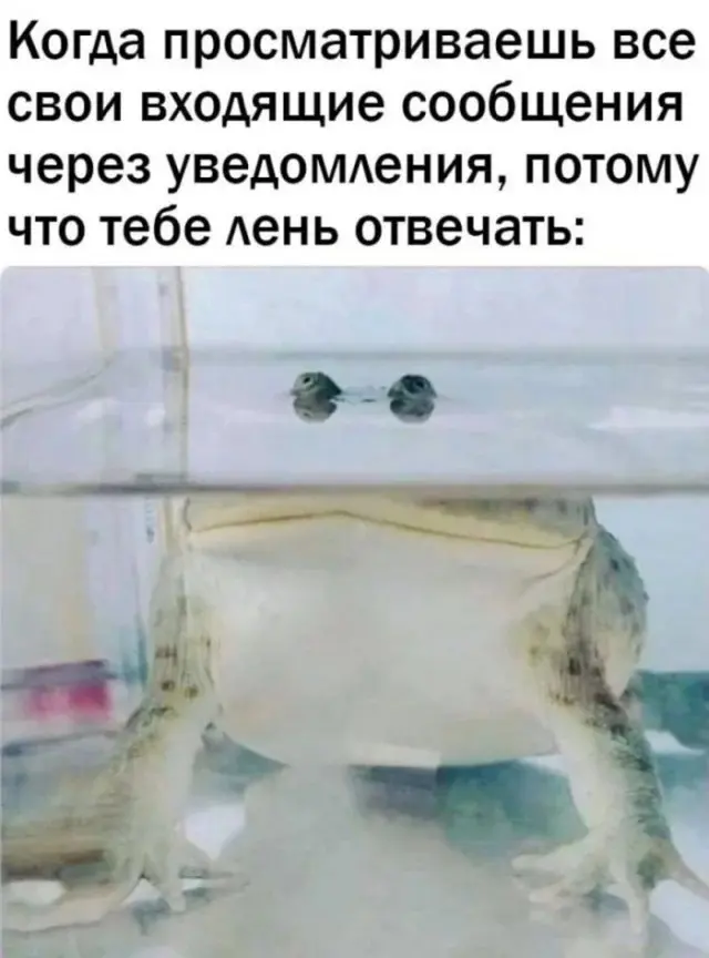 Бодрое утро начинается с улыбки: свежая подборка мемов мемы, приколы, утро, юмор, картинки, настроение, смешное, позитив, подборка