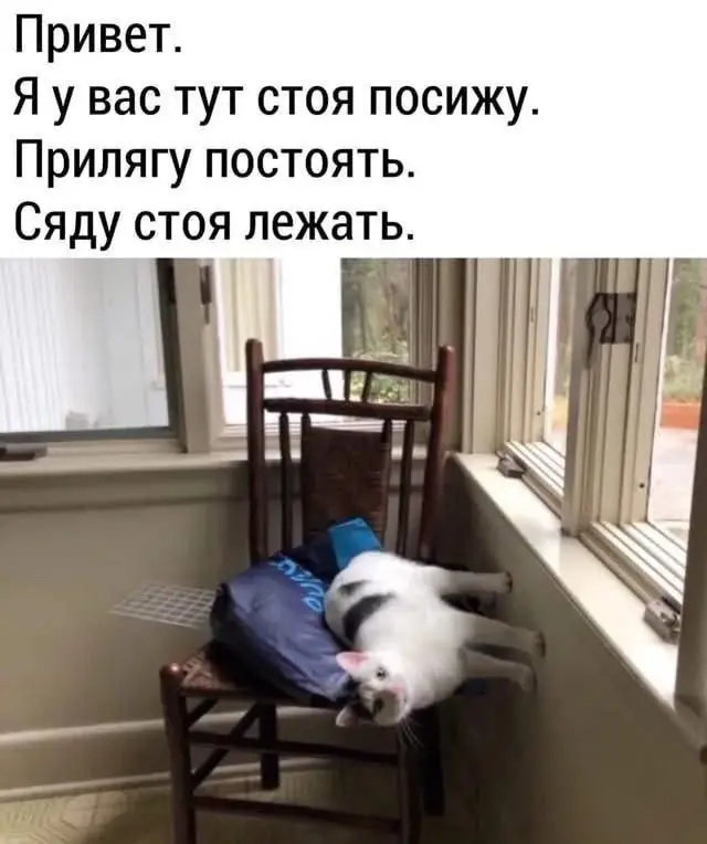 Бодрое утро начинается с улыбки: свежая подборка мемов мемы, приколы, утро, юмор, картинки, настроение, смешное, позитив, подборка