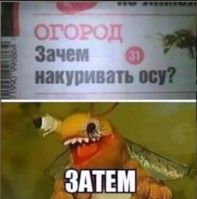 Бодрое утро начинается с улыбки: свежая подборка мемов мемы, приколы, утро, юмор, картинки, настроение, смешное, позитив, подборка