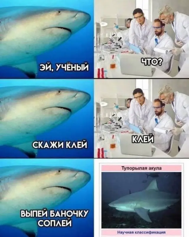 Бодрое утро начинается с улыбки: свежая подборка мемов мемы, приколы, утро, юмор, картинки, настроение, смешное, позитив, подборка