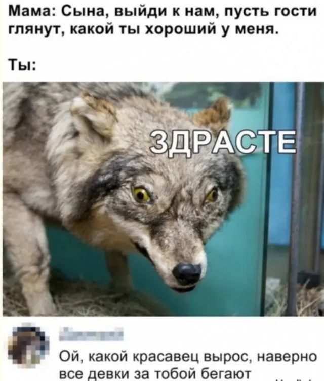 Абсурдный микс из случайностей и мемов