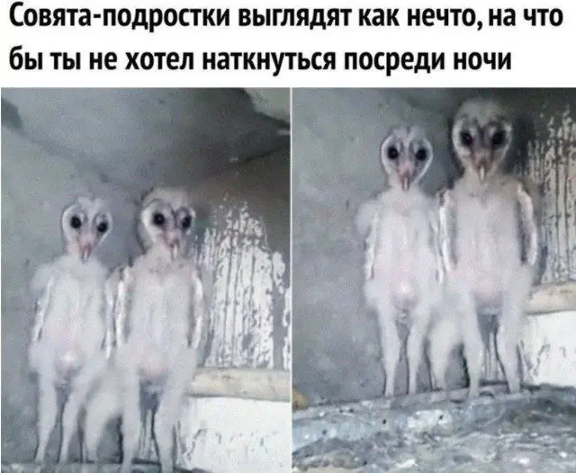 Мемы, в которых ты узнаешь себя мемы, жизненные ситуации, приколы, подборка, юмор