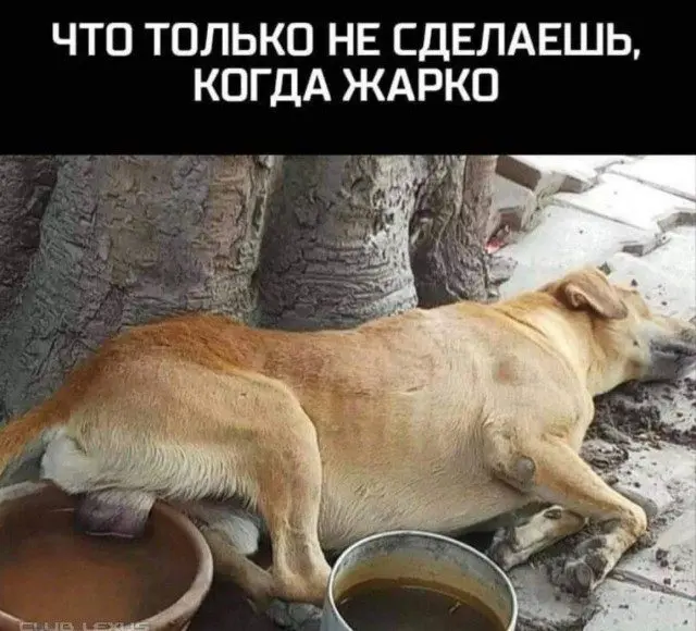 Мемы, в которых ты узнаешь себя мемы, жизненные ситуации, приколы, подборка, юмор