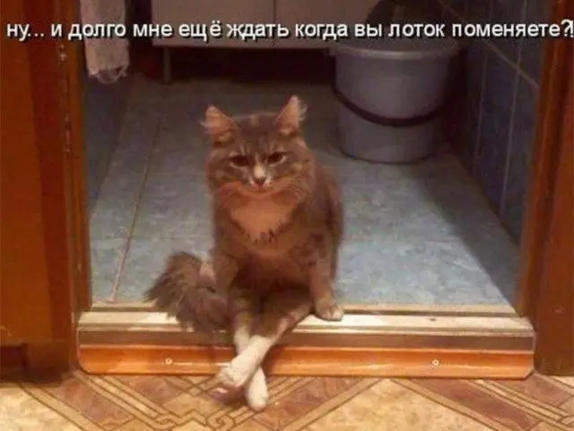 Мемы, в которых ты узнаешь себя мемы, жизненные ситуации, приколы, подборка, юмор