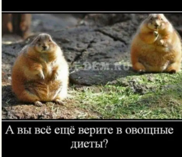 Мемы, в которых ты узнаешь себя мемы, жизненные ситуации, приколы, подборка, юмор