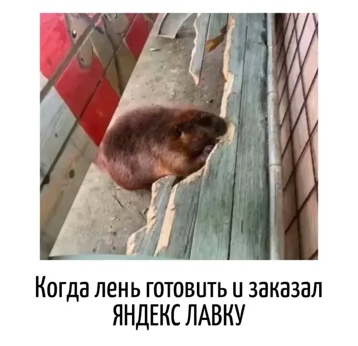 Остроумные каламбуры: когда слова играют с нашим воображением игра слов, каламбуры, юмор, двойные смыслы, шутки, остроумие, приколы, подборка