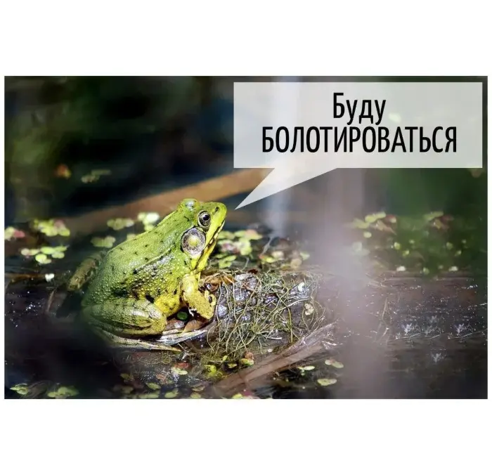 Остроумные каламбуры: когда слова играют с нашим воображением игра слов, каламбуры, юмор, двойные смыслы, шутки, остроумие, приколы, подборка