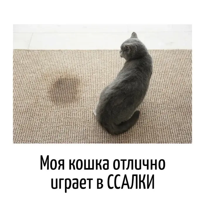 Остроумные каламбуры: когда слова играют с нашим воображением игра слов, каламбуры, юмор, двойные смыслы, шутки, остроумие, приколы, подборка