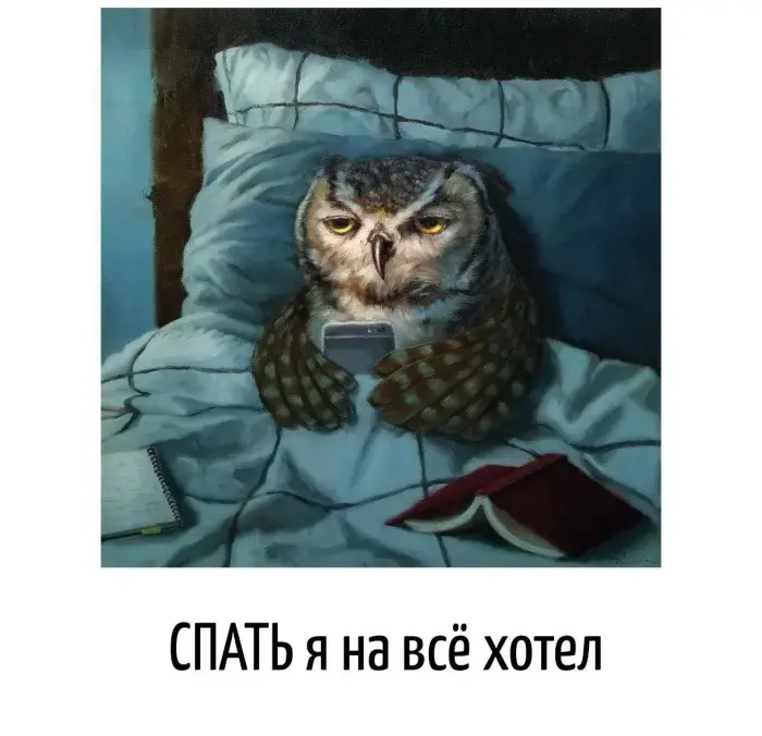 Остроумные каламбуры: когда слова играют с нашим воображением игра слов, каламбуры, юмор, двойные смыслы, шутки, остроумие, приколы, подборка