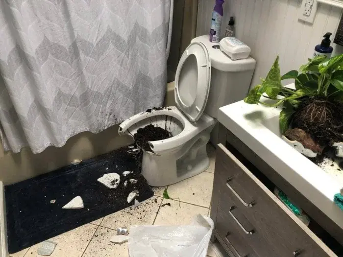 15 ситуаций, когда утро начиналось с надежды, а закончилось полным хаосом провалы, смешное, приколы, неудачи, быт, юмор, фото